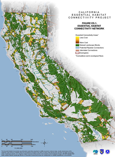 Map of California of the Essential Habitat Connectivity Network from California's Essential Habitat Connectivity Project with color-coded areas showing gradations of Essential Connectivity Areas by cost, Natural Landscape Blocks, Potential Riparian Connections, Interstate Connections, and Ecoregions