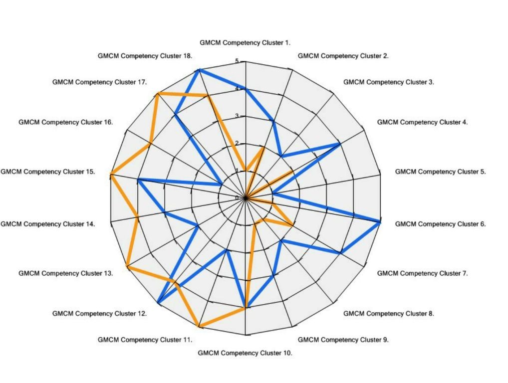 a GIS CMM Spider Diagram that shows 18 GMCM Competency Clusters around a circle and the connections among them